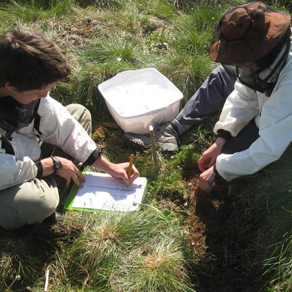 Wilkes students and faculty field research